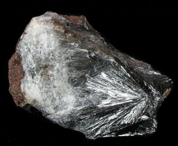 Metallic, Radiating Pyrolusite Cystals - Morocco #56965